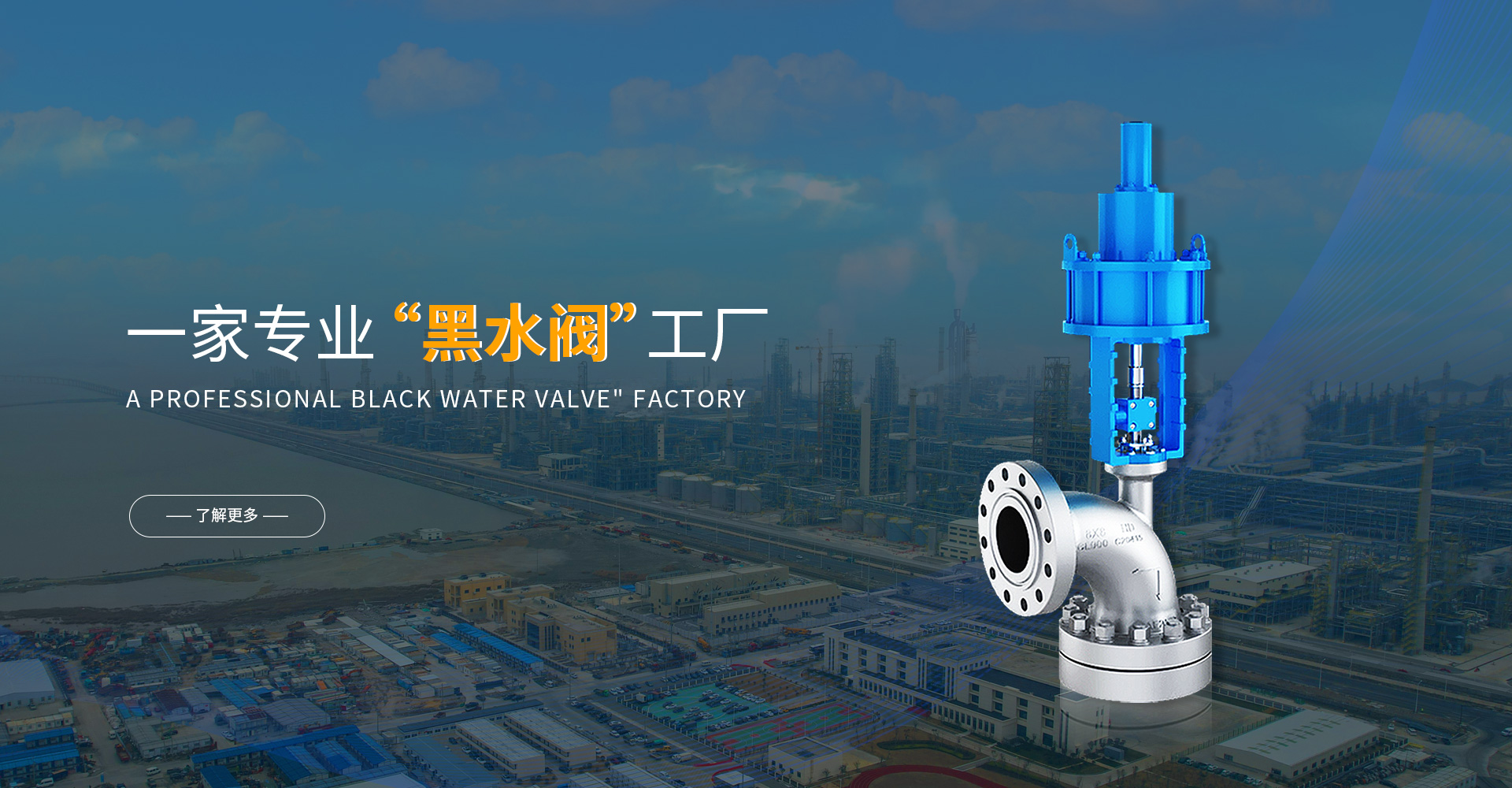 一家专业黑水阀工厂