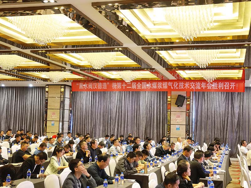 黑水阀汉德造水煤浆气化技术年会.jpg